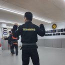 골든라이언 이미지