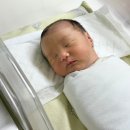 에프앤디넷 대구미래여성점 | 대구 미래여성병원 제왕절개 1인실 6박 7일 입원 후기
