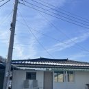 위림사슴목장 이미지