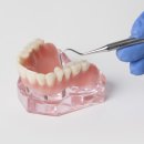 영양치과의원 이미지