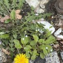 대한검도회 군포검도관 | [대한검도회 호계검도관] 착실하고 치열하게!