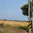 천진리경로당 이미지