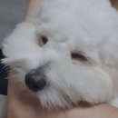 미야팜스토어