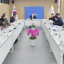 49차이나
