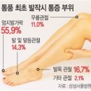 작중에 심심치 않게 등장하는 '통풍' 이란 병. 이미지