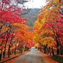 인제관광정보센터 이미지