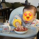 화란 중화요리 | 제주홍콩식중화요리 '화란' 동파육덮밥·우육면 후기 | 제주 중식 맛집 추천