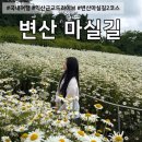 쥬씨익산 | [익산 근교 드라이브] 변산 마실길 2코스 다녀온 후기 !