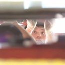 성전사카센타 이미지