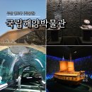 2025 파주시티투어 당일코스(토요일) | 부산여행 영도 실내 아이와 가볼만한 곳 국립해양박물관 기획전시 상설전시