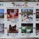 보물섬여행사 이미지