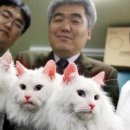 (주)아라케어 이미지