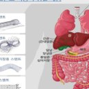 Q메디칼 이미지