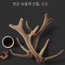 구전녹용 효능 가격 후기모음
