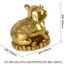황금부자샵