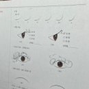 주아샵