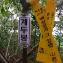 장성-12 Daum카페