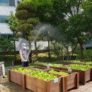 성남경로당 이미지
