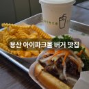 용산 아이파크몰 맛집 쉐이크쉑 버거 내돈내산 후기