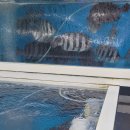 서민수산회 이미지