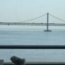 리벤시아 이미지