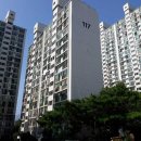 사파동117 이미지