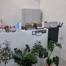 진희로-2 이미지