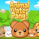 애니멀타임 이미지