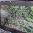 공감갤러리풀빌라 | 몰디브 신혼여행, 코라코라리조트<CoraCora> 여행기♡ - 02. 몰디브 도착(수상 비행기) / 리조트 1일차...