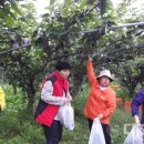 최용진 농장 이미지