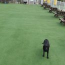 아임버디 이미지