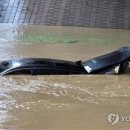 시장유통 이미지