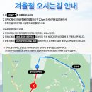 방아다리쉼터1 | '밀브릿지' 전나무 숲 쉼터! 방아다리 약수터! 평창 숙소 추천