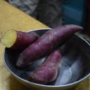 한일상회 이미지