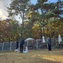 드림애견학교 이미지