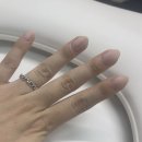 네일드엘라