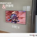 티비원