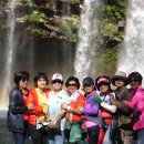 천지연 폭포 이미지