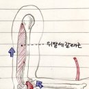 유도미아