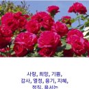 좋은생각