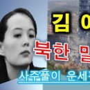 166. 삼명명리(삼명통회)로 푼/ 김여정 사주풀이 / [운세편] 망하는가? 살리는가? 이미지