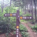 공지산 둘레길 이미지