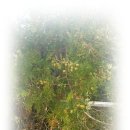 대원조아공인중개사사무소 이미지