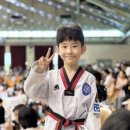 금메달 태권도 이미지