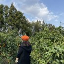 새우리농장 이미지