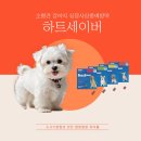 푸른365약국 네이버블로그