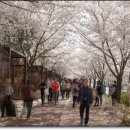 낙동강제방(2) 이미지