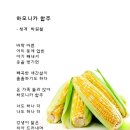 하모니카 합주 이미지