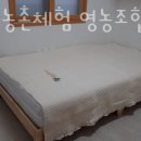 안동포농촌체험