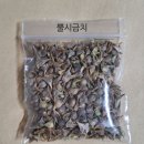 토종 뿔시금치 이미지